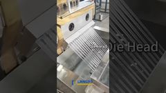 পিপি পিই গ্র্যানুলেটিং লাইন #পুনর্ব্যবহার #মেশিন #কারখানা